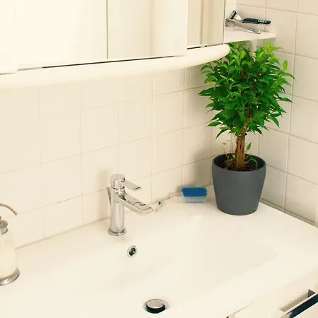 Chbre 2 Pers, Sdb Privee, Repas Et Taxi Cdg Extra Homestay